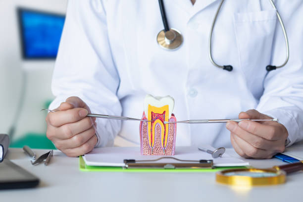 Best 24-Hour Emergency Dentist in Mechanicsburg, OH
